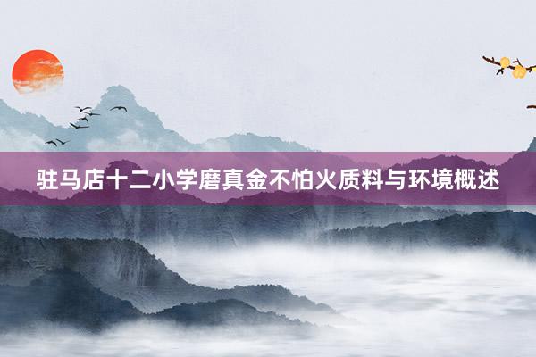 驻马店十二小学磨真金不怕火质料与环境概述